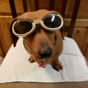 Meet your Posher, Joetta